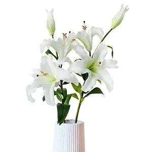 2Pcs Large White Lily Artificial Flowers, 34" Long Stem Real 2pcs Lily White
