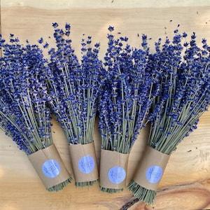 Dried English Lavender Bouquets - From our Farm to You