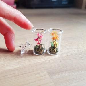 Dollhouse miniature flower - Orchid terrariums