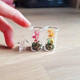 Dollhouse miniature flower - Orchid terrariums