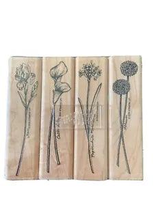Stampin Up Set Long-Stemmed Flower Iris Calla Lily Allium Narcissus Rubber 2000