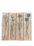 Stampin Up Set Long-Stemmed Flower Iris Calla Lily Allium Narcissus Rubber 2000