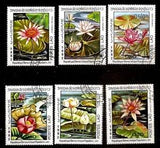 FLOWER water roses ,lily  Laos 1982 year, used stamps set CTO