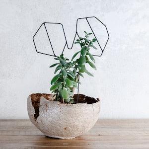 Plant stands Garden design, Plant holder stand, Metal Plant Hanger, Modern Planter, Home Plants, Succulents cactus, orchid, Table decoration