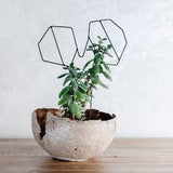 Plant stands Garden design, Plant holder stand, Metal Plant Hanger, Modern Planter, Home Plants, Succulents cactus, orchid, Table decoration