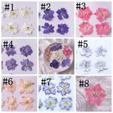 12PCS real Pressed dry Flower, 8 natural colors for art craft FSS01