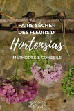Comment faire s??cher les fleurs d'hortensia - Tutoriel Flower Delivery