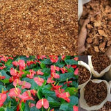 Coconut Husk Chips | Natural Coconut Husk Chips for Flowers Vegetables & Other Plants Orchid, Laceleaf root growth 9C