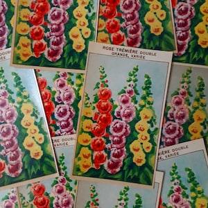 75 HOLLYHOCK labels, Antique French Flower Seed Packet Labels, Cottage Garden Style, Rose Tr??mi??re, 1920s Lithograph printed,