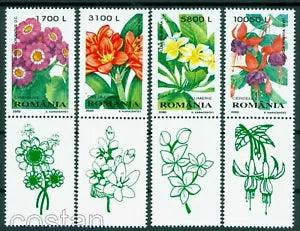 2000 Bush lily,Plumeria,Fuchsia,Senecio,Flowers,plants,Romania,Mi.5478,TAB/B,MNH