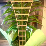 Indoor boho plant trellis-traditional trellis shapes available in 12 finishes and 3 sizes;