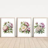 NEW LISTINGSet of Peony ART PRINTS Wall picture Home Art (A4 Sized, unframed)