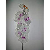 12 Phalanopsis  Artificial Silk Orchid Flower
