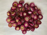 Dried Flowers 50 STRAWFLOWERS  Pink  crafting Natural color WREATHS, DECOR prim
