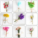 Natural Dried Flower Gypsophila Bouquet Bunch Wedding Party Christmas Gift Decor