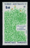 FSAT TAAF Plant 'Ranunculus pseudo trullifolius' 1990 MNH SG#266 MI#266 CV?5.-