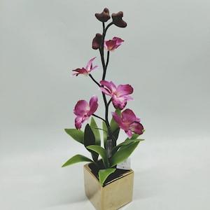 18.5" Orchid In Silver Ceramic Pot