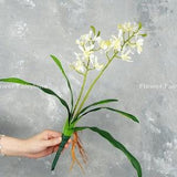 Faux Dendrobium Orchid Plant | High Quality Artificial Flower | DIY Floral | Pot/Wedding/Home Decoration | Gifts - White