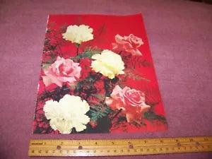 Art Print From Magazine Vintage 1965 Flowers / Carnations & Roses