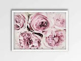 Peonies Print, Peonies Wall Art, Peony Decor, Peonies Flower, Home Decor Print