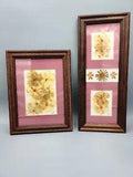 Pair of Vintage Framed Dried Pressed Flowers Wall Art Set of 2