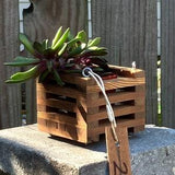 207. Salvaged Red Pine Hanging Basket Planter for Orchids, Bromeliads, Ferns, Cacti, Other Epiphytes and Succulents
