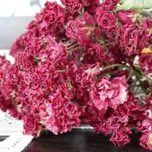 Dried rose, small dry rose,  Bouquet of dry roses, bouguet roses,  red roses.