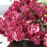 Dried rose, small dry rose,  Bouquet of dry roses, bouguet roses,  red roses.