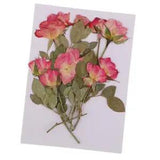 10 Pieces Dried Flowers Pressed  Bookmarks Handmade DIY Manual