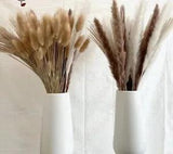 Fluffy Pampas Dried Flowers Bouquet Home Natural Wedding Party Decoration 100pcs