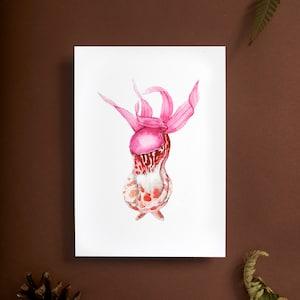 Fairy Slipper Orchid Flower Print, calypso bulbosa , botanical wall art , watercolor painting