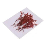 20 Pieces Dyed Red Limonium Dried Flowers Embellishments for DIY Phone Case