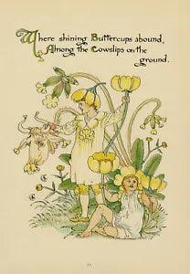Antique Print-BUTTERCUPS-RANUNCULUS-FLOWER- FLORA'S FEAST-ART DECO-Crane-1889