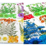 Pressed Dried Flowers Epoxy Resin Candle Filling Jewelry Making Nail Art Craft