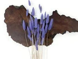 30 Pieces 12-15" Lilac Bunny Tail Preserved Dried Botanical Grass Bouquet Craft