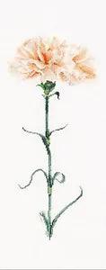 Cross-stitch kit  Carnation Peach 468A  Thea Gouverneur