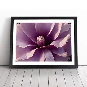 Stunning Carnation Flower Framed Wall Art Poster Print Home Decor Picture Large