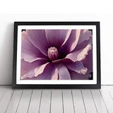 Stunning Carnation Flower Framed Wall Art Poster Print Home Decor Picture Large