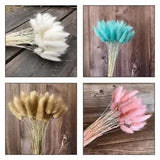 50PCS Natural Dried Flowers Rabbit Tail Grass Home Wedding Flower Bunch Bouquet