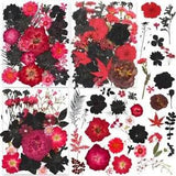 141PCS Dried Pressed Flowers for Resin -  Real Nature Flowers Herb Red Black