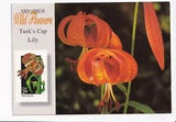 Vintage Postcard Continental Turk's Cap Lily Stamp Collector Series