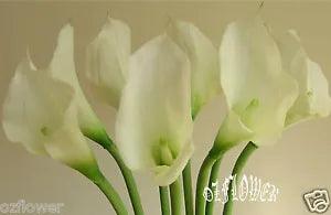8 x Latex PU Calla Lily F31 Artificial Flowers and Plants