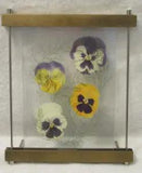 Dried Pressed Pansies in Floating Frame: 9.0" X 10.5"
