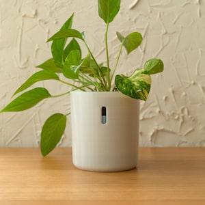 LECA Pots Tall | Self Watering Planter for Houseplants | Hydropot Semi-Hydroponic Plant Pot