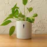 LECA Pots Tall | Self Watering Planter for Houseplants | Hydropot Semi-Hydroponic Plant Pot