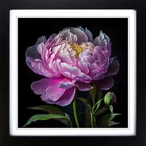 Peony Flower Floral Art Framed Wall Art Poster Print Home Decor Picture Large