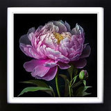 Peony Flower Floral Art Framed Wall Art Poster Print Home Decor Picture Large