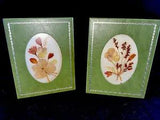 Vintage Pressed Dried Flowers in Glass w/sage Leather Frames. 4.5" x 3.5." Wall