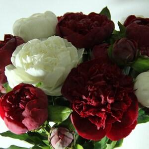 Real touch peonies,Peony bouquet,maroon peonies,white peonies,Cold porcelain peonies,Handmade,Polymer clay flowers,Home livivng,Home Decor