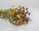 Dried Fantastic Flower Arrangement Single Bunch